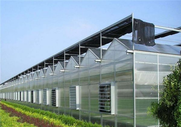农业智能温室