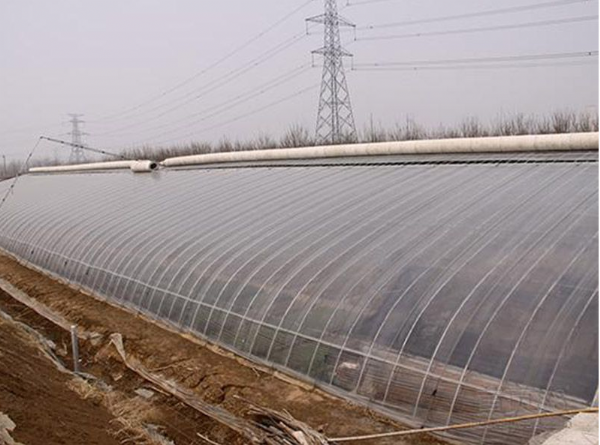 日光温室大棚
