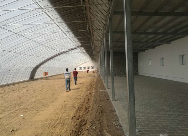 冬暖式日光温室大棚