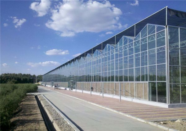 玻璃温室大棚
