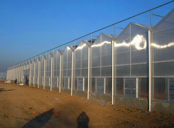 阳光板大棚