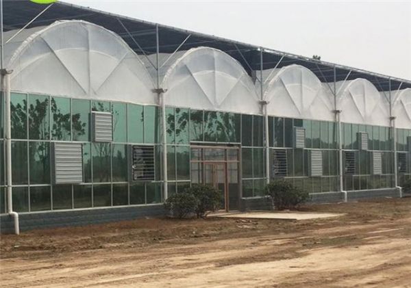 连栋温室