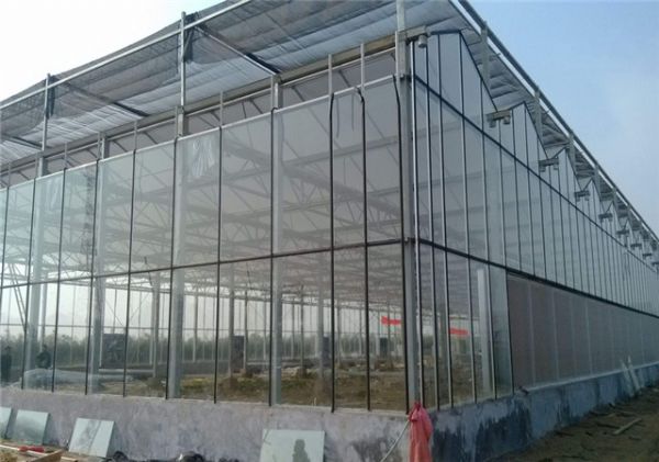 玻璃智能大棚