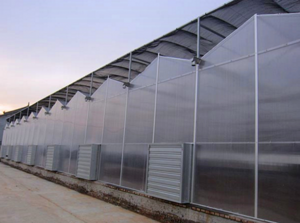 阳光板温室大棚