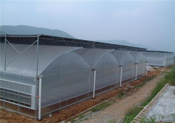连栋温室大棚