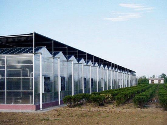 玻璃温室