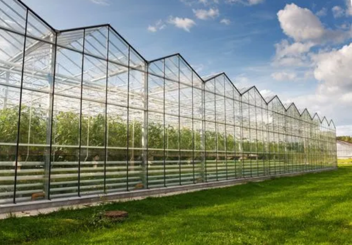 分析连栋玻璃温室大棚的好处有哪些内容