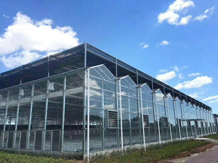 解析玻璃温室大棚的优点及用途